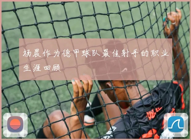 杨晨作为德甲球队最佳射手的职业生涯回顾